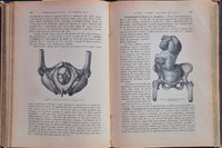 Trattato di ostetricia - Parte I - Fisiologia della gravidanza