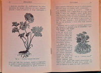 Manuale di Floricoltura