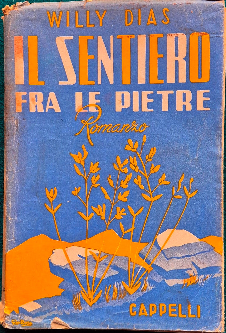 Il sentiero fra le pietre