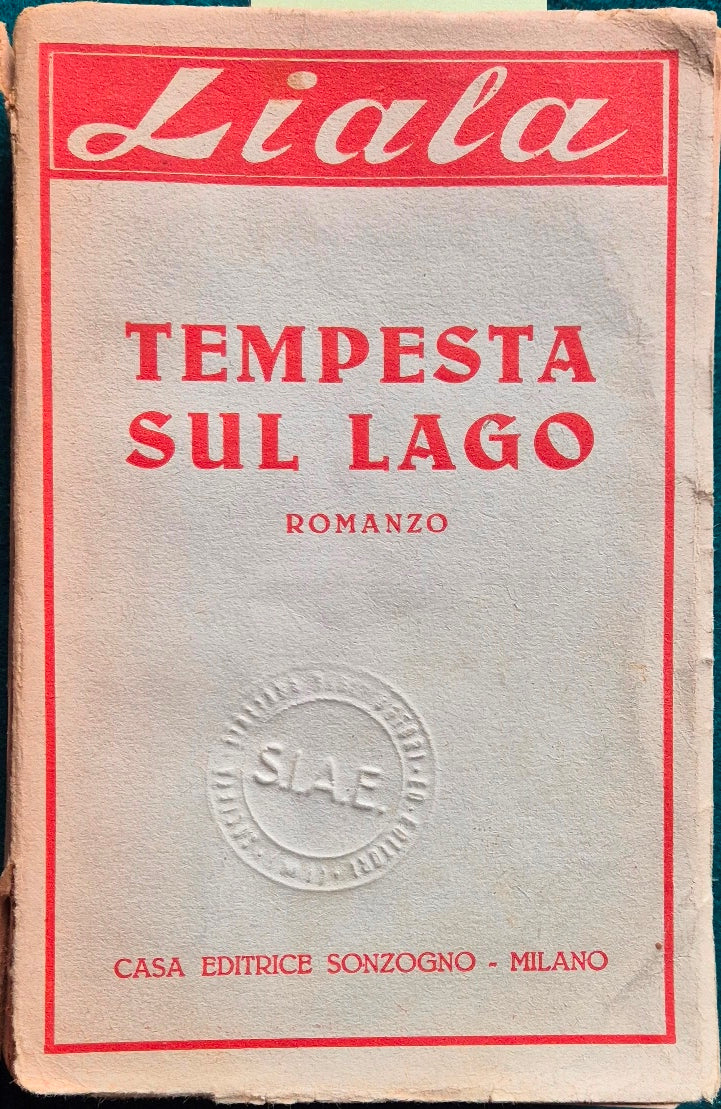 Tempesta sul lago