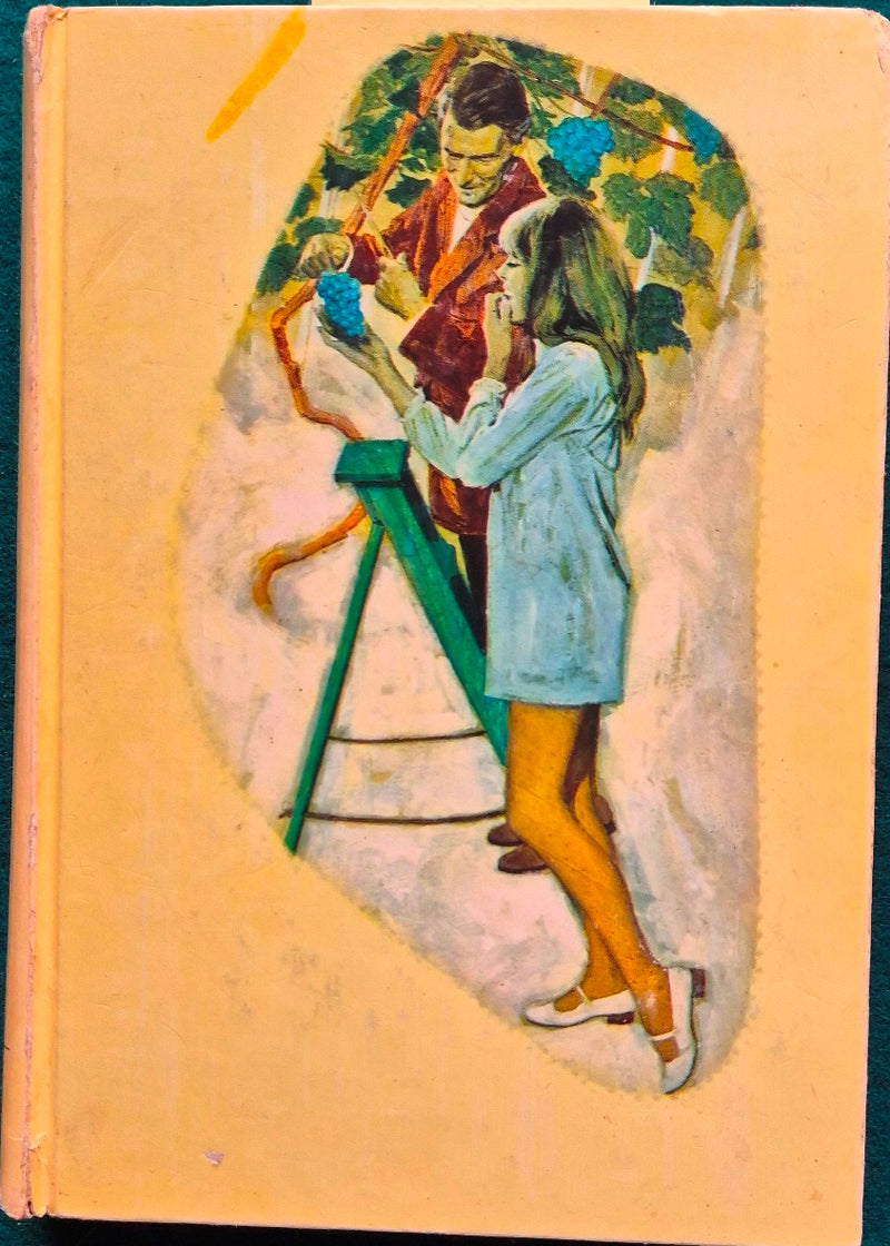 Il giardino a scacchiera