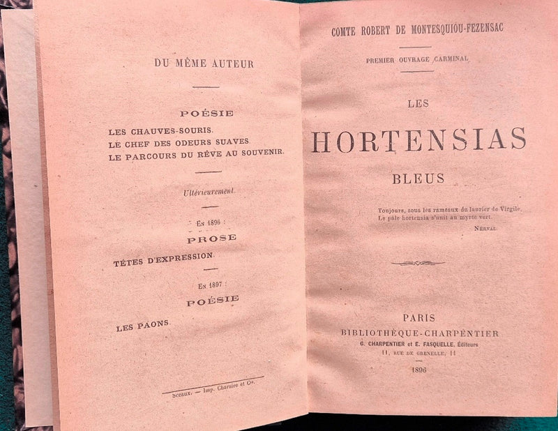 Les hortensias bleus