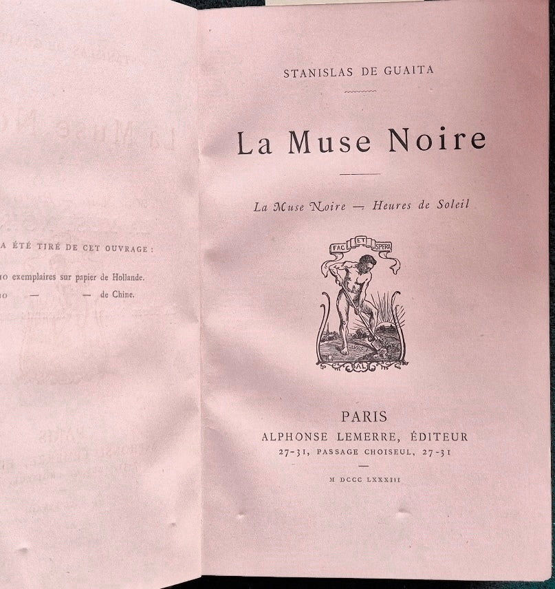 La muse noire