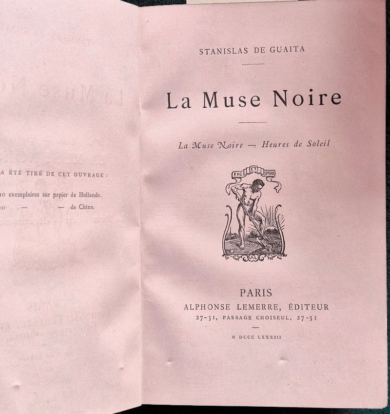 La muse noire