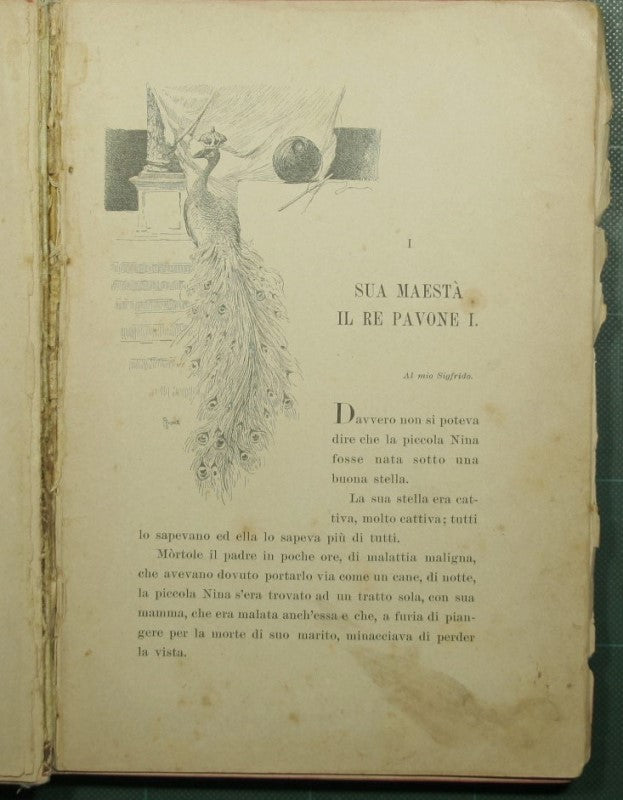 Fiabe e storielle