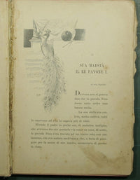 Fiabe e storielle