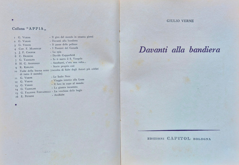 Davanti alla bandiera