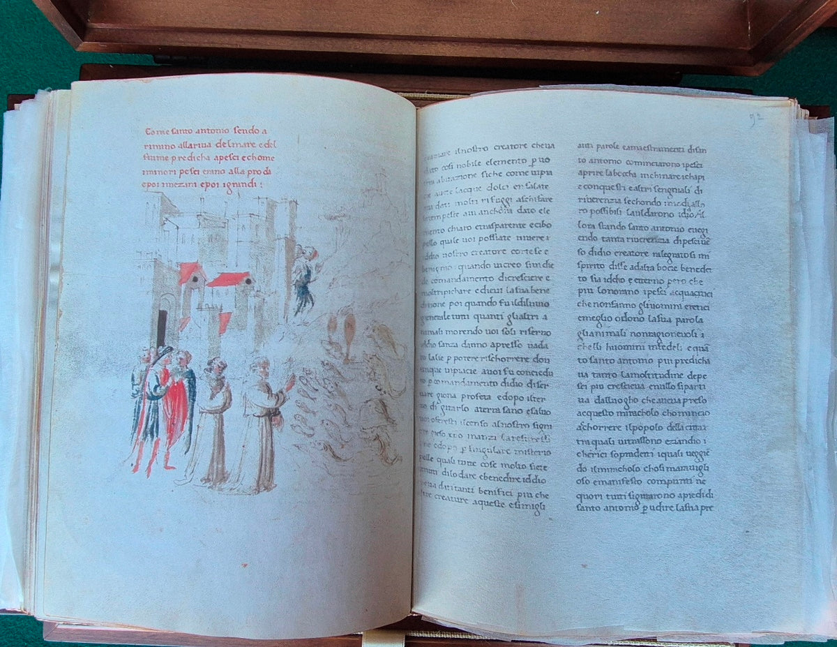San Francesco d'Assisi. La vita e le opere