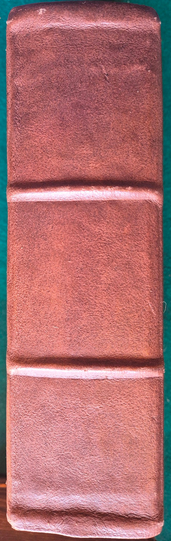Biblia sacra vulgatae editionis