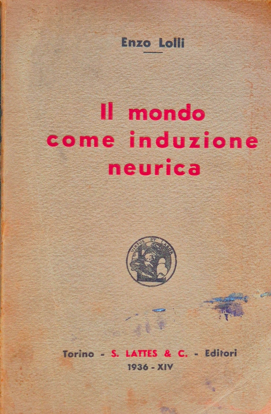 Il mondo come induzione neurica