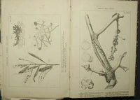 Italian Agricultural Encyclopedia