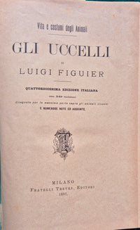 Vita e costumi degli animali - Gli uccelli
