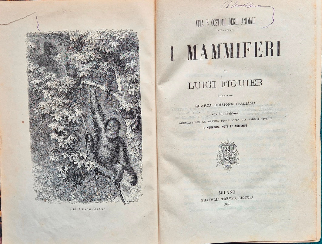 Vita e costumi degli animali - I mammiferi