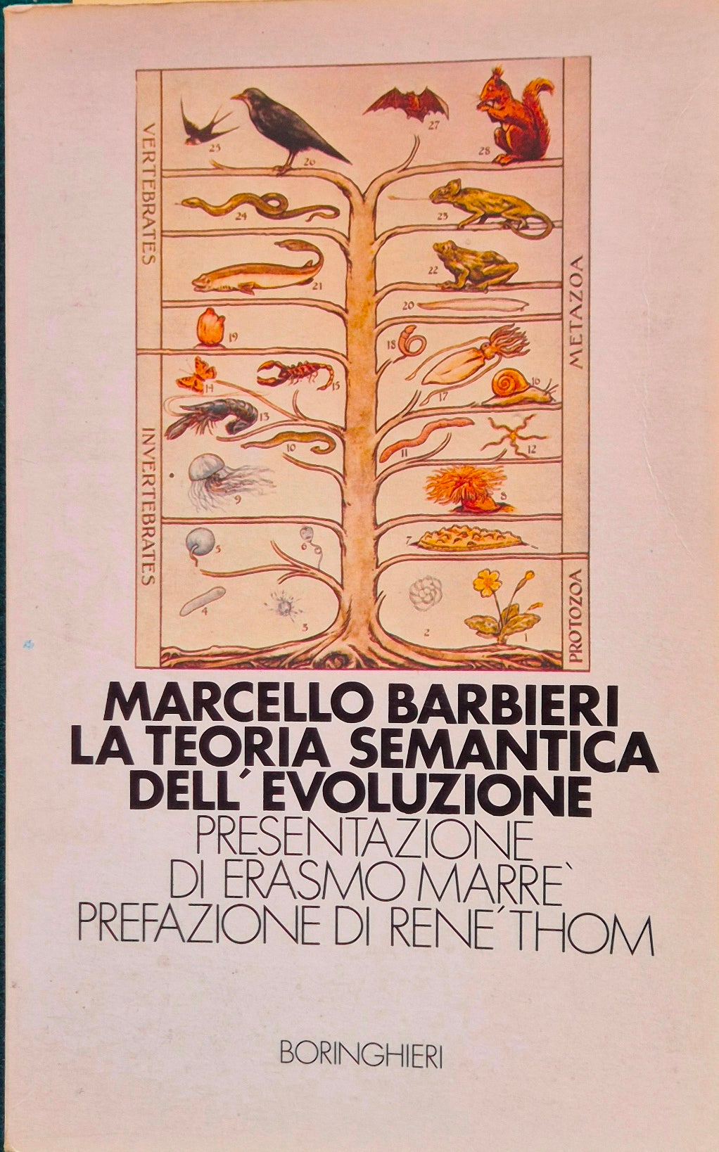 La teoria semantica dell'evoluzione