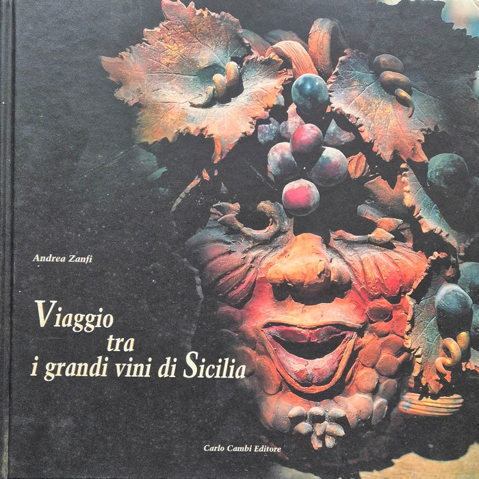 Viaggio tra i grandi vini di Sicilia