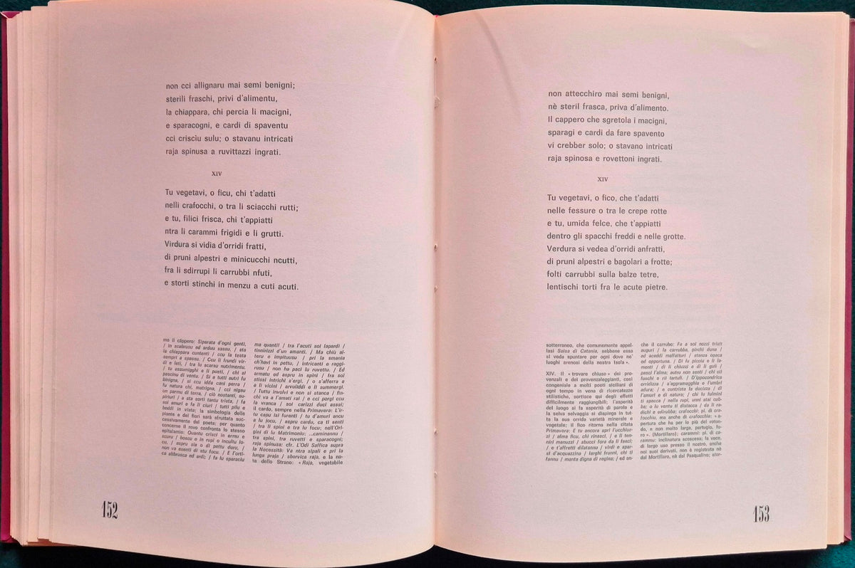 Domenico Tempio e la poesia del piacere