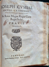 Ioseph Cumiae Siculi Catinensis In ritus Mag. Regiae Curiae, ac totius Regni Siciliae Curiarum Commentaria