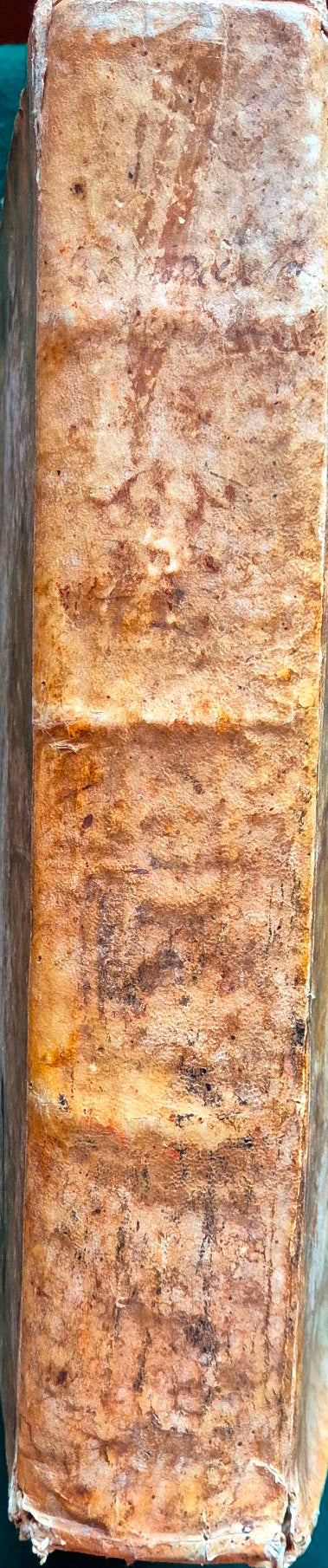 Ioseph Cumiae Siculi Catinensis In ritus Mag. Regiae Curiae, ac totius Regni Siciliae Curiarum Commentaria