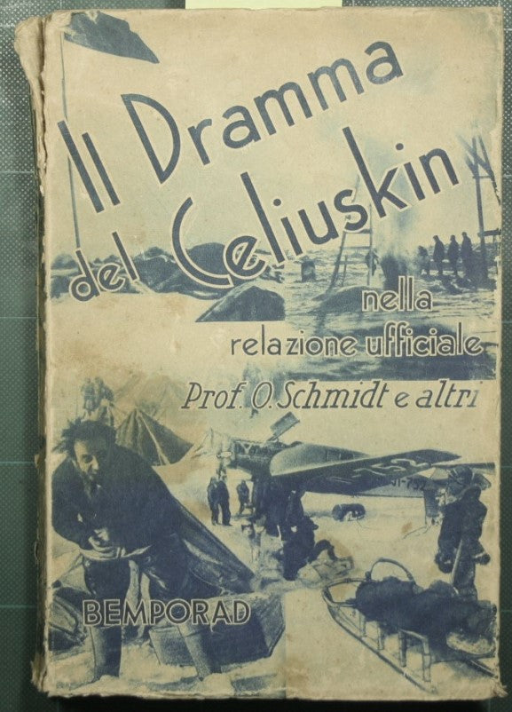 The Celiuskin drama in the official report