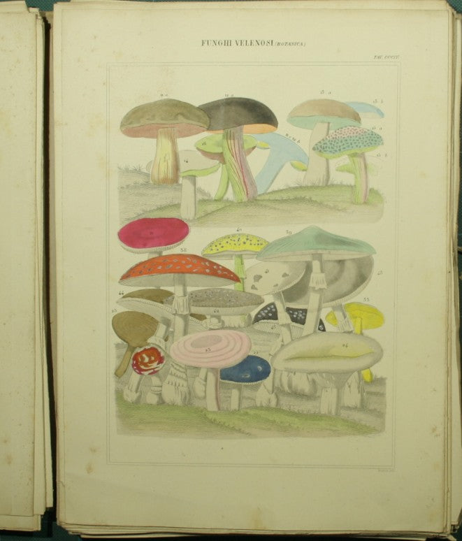 Nuova Enciclopedia italiana ovvero dizionario generale di scienze, lettere, industrie