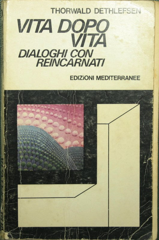 Vita dopo vita