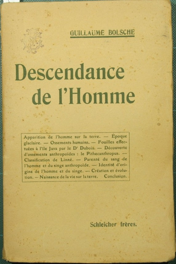 La descendance de l'homme