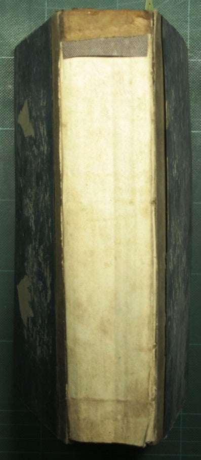 Works of P. Gioacchino Ventura - Vol. III