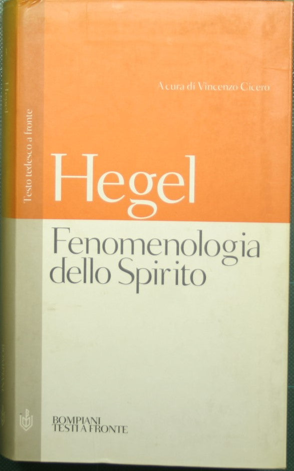Fenomenologia dello Spirito