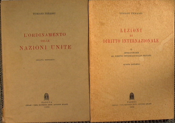 L'ordinamento delle nazioni unite