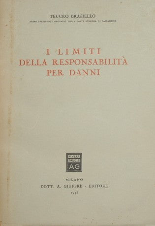 I limiti della responsabilità per danni