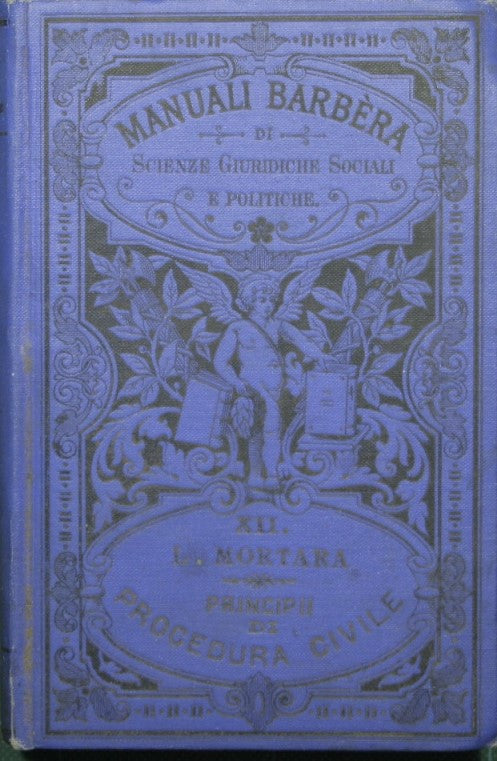 Principles of civil procedure