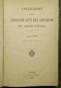 Collections of the laws and acts of the government of the Kingdom of Italy. Year 1879