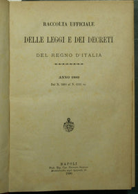 Raccolta ufficiale delle leggi e dei decreti del Regno d'Italia. Anno 1889
