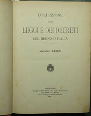 Collezione delle leggi e dei decreti del Regno d'Italia. Anno 1900