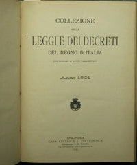 Collezione delle leggi e dei decreti del Regno d'Italia. Anno 1901