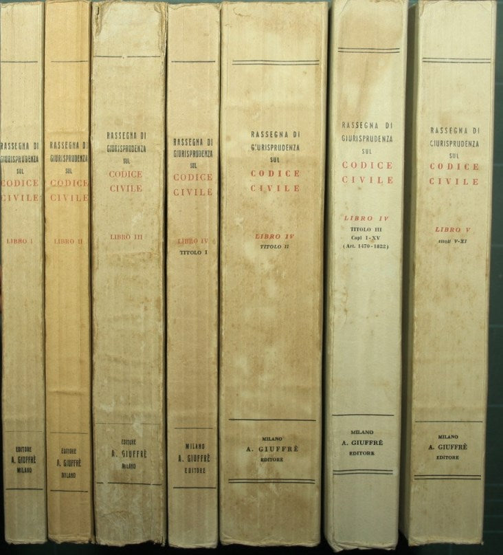 Review of jurisprudence on the Civil Code - Book I / V