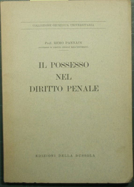 Posesión en derecho penal