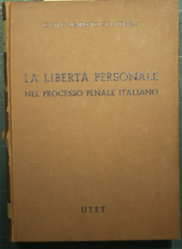 Personal freedom in the Italian criminal trial