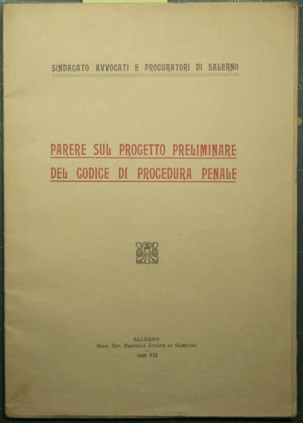 Opinion on the preliminary draft of the criminal procedure code