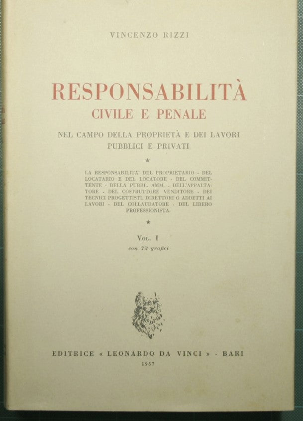 Civil and criminal liability in the field of property and public and private works