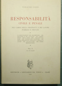 Civil and criminal liability in the field of property and public and private works