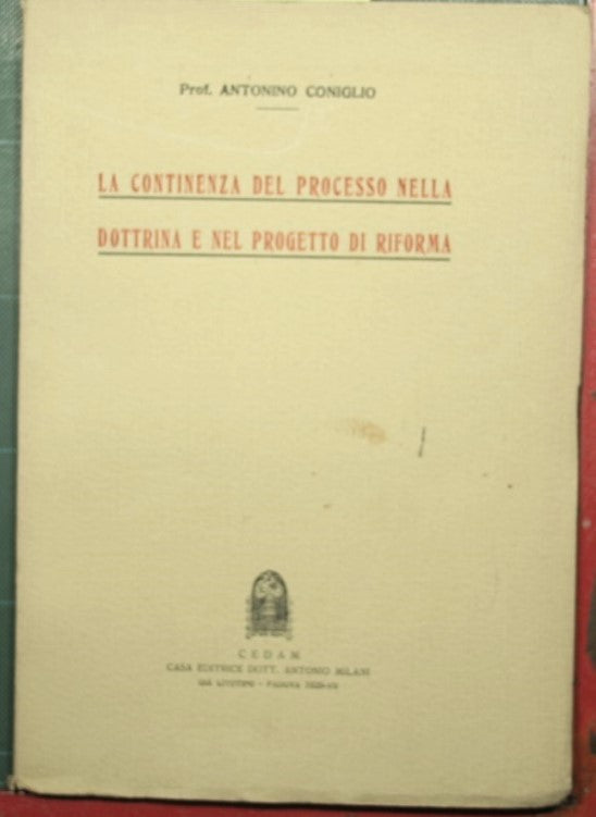 La continencia del proceso en la doctrina y en el proyecto de reforma