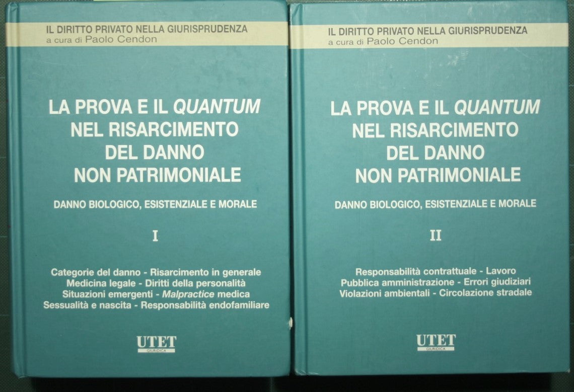 Evidence and quantum in compensation for non-pecuniary damage