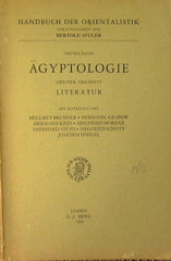 Erster Band Agyptologie zweiter abschnitt Literatur