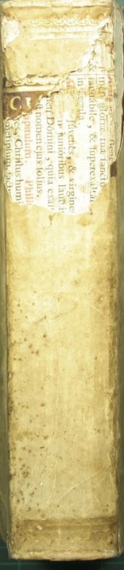 M. Tullii Ciceronis Opera, cum delectu commentariorum, in usum serenissimi Delphini. Vol. II