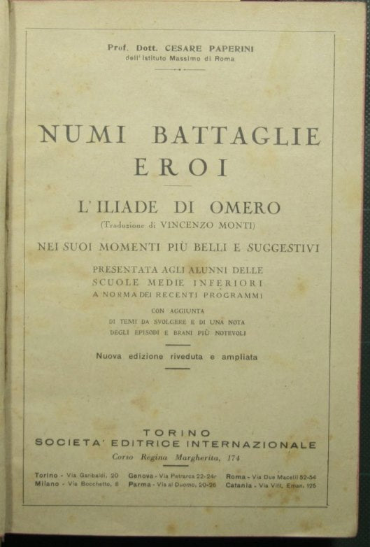 Gods battles heroes. Homer's Iliad