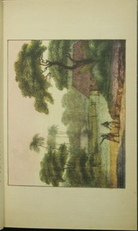 Taipi