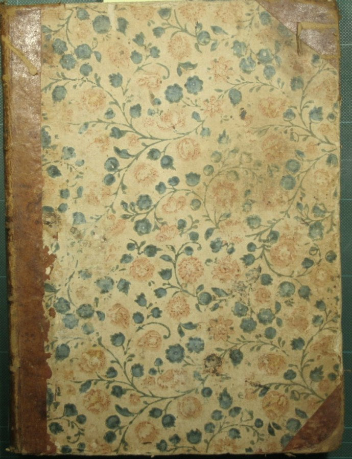 Historia de la literatura italiana.