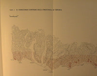 Survey of landscape resources and green areas of the Ligurian coastal strip. Geomorphological research