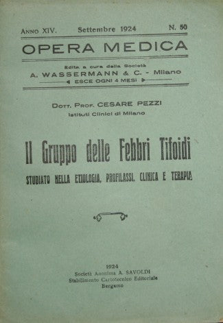 Il gruppo delle febbri tifoidi